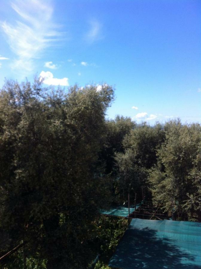 Casa Iolanda Βίλα Σορέντο Εξωτερικό φωτογραφία
